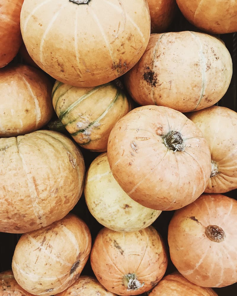 Produkte des Monats Octobre