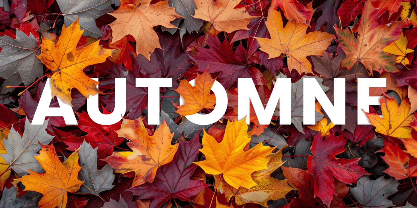 Saisonprodukte im Automne