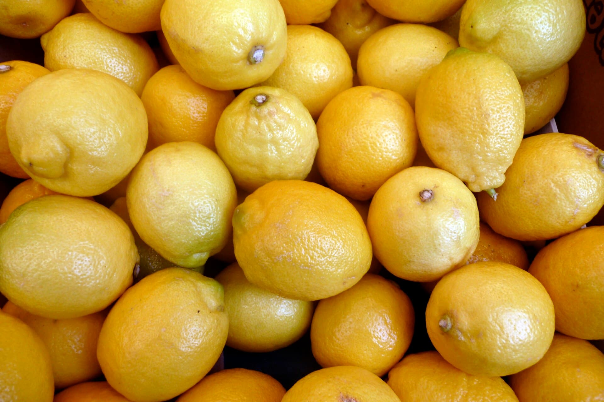 Citron de Menton