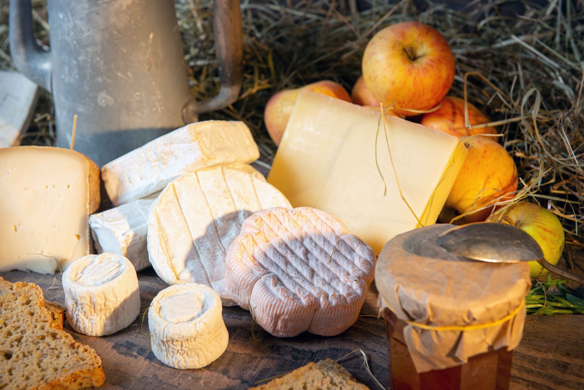 Köstlicher Käse