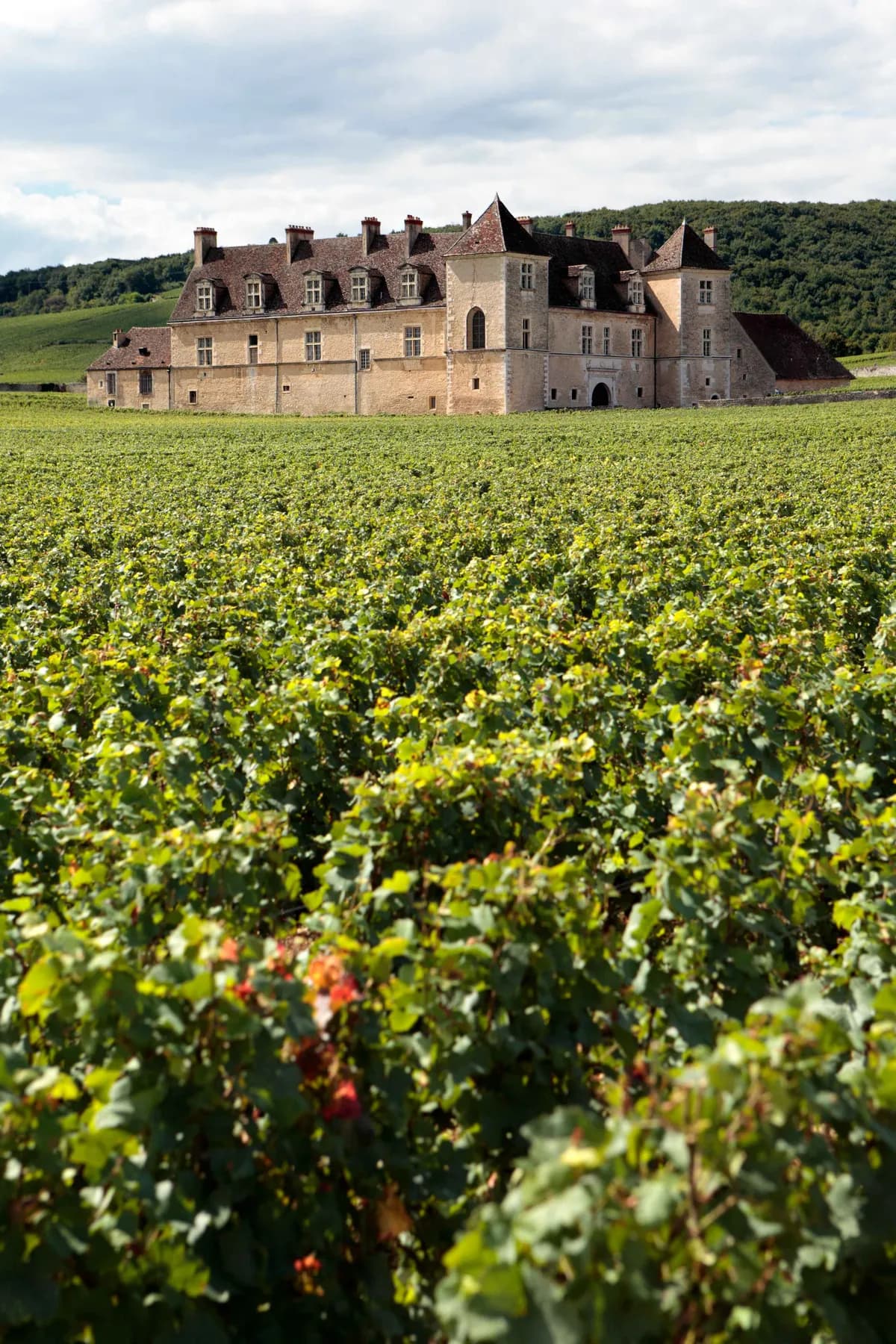 Weinberg
