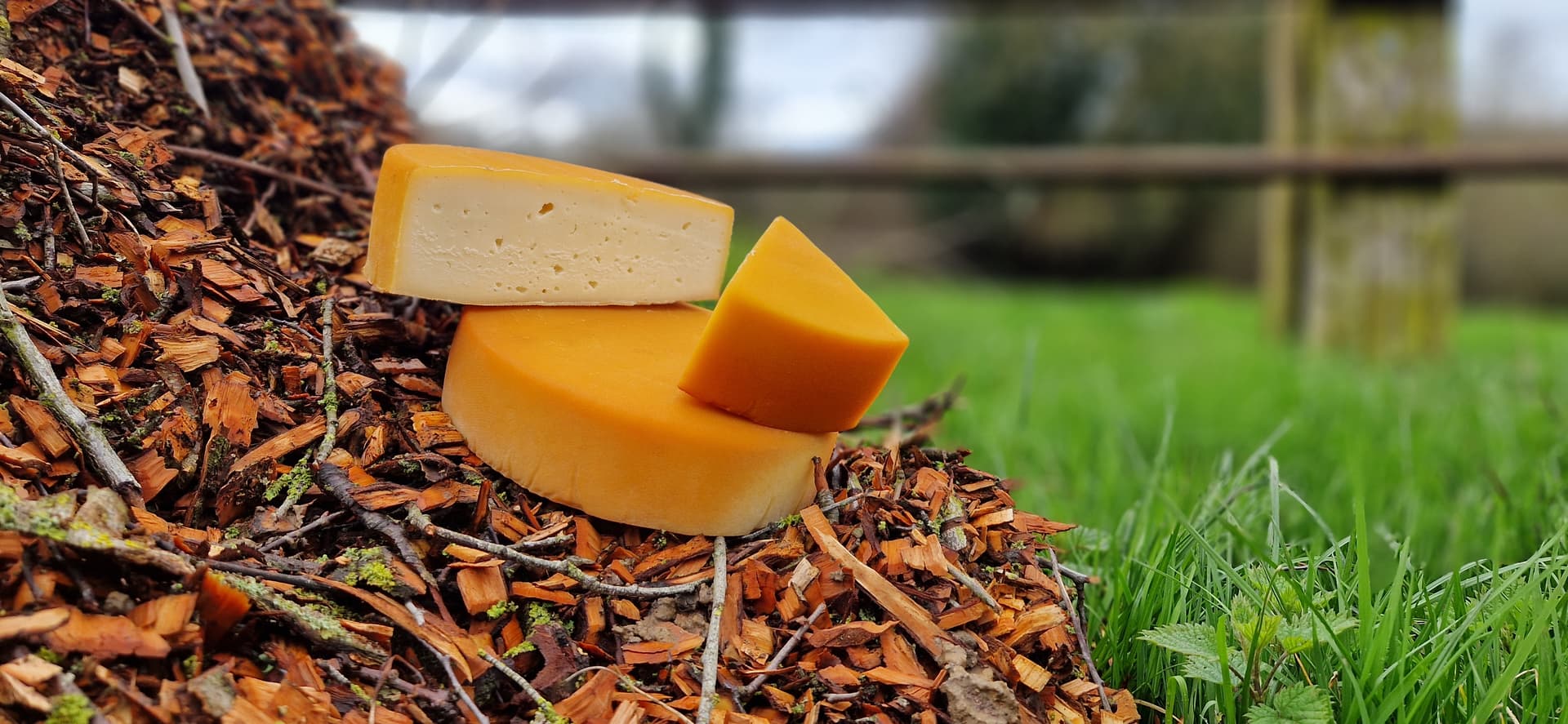 Geräucherte Bio-Tomme
