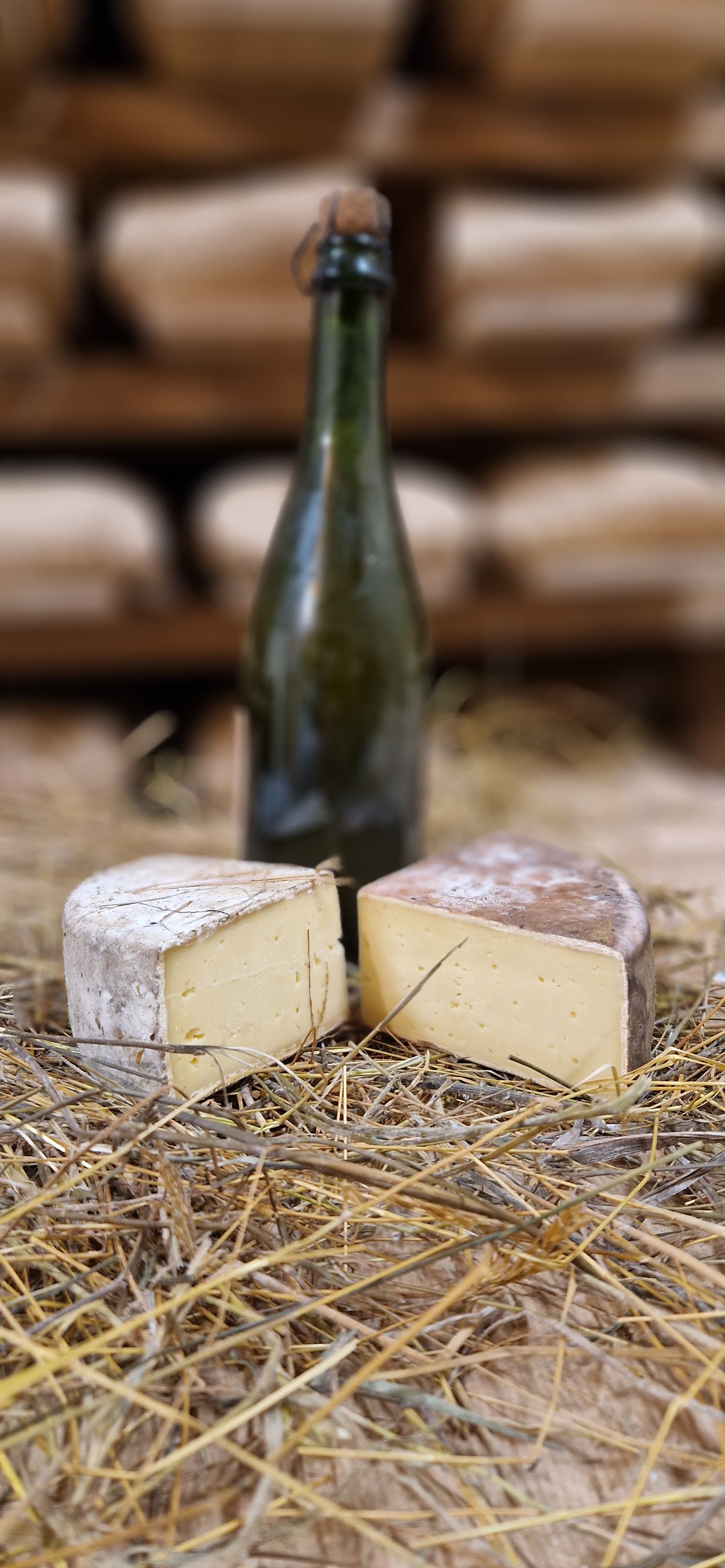 Duo Bio-Tomme Bigout: Heu & Cidre