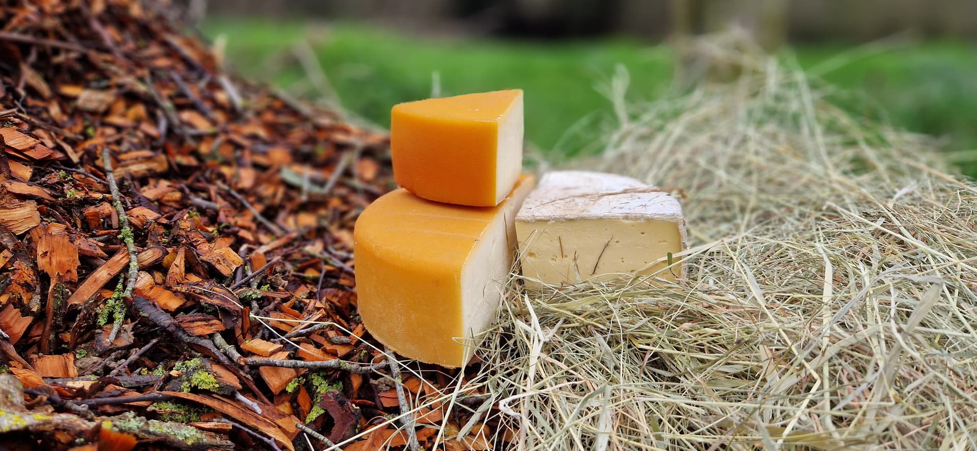 Duo Bio-Tomme Bigout: Heu & geräuchert