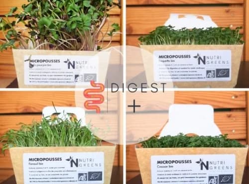 Microgreens Paket „Digest +“ (Rettich, Kerbel, Kresse, Rucola), 4 Schalen