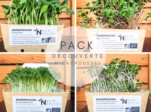 Microgreens Bio-Probierpaket, 4 Schalen