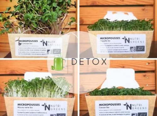 Microgreens Paket „Detox“ (Rettich, Senf, Kresse, Rucola), 4 Schalen