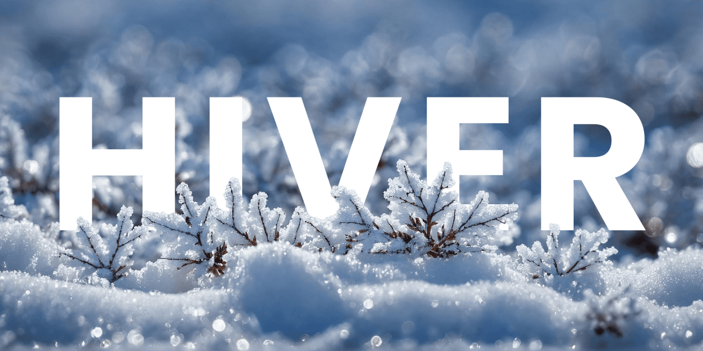 Saisonprodukte im Hiver